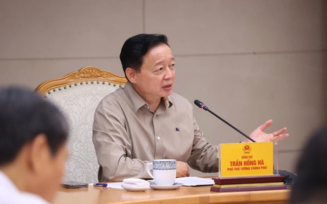 Phát triển OCOP thành thương hiệu Việt Nam, đạt chuẩn quốc tế trên thị trường toàn cầu
