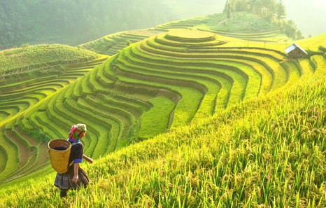 New visa policy makes Viet Nam an accessible destination for global visitors