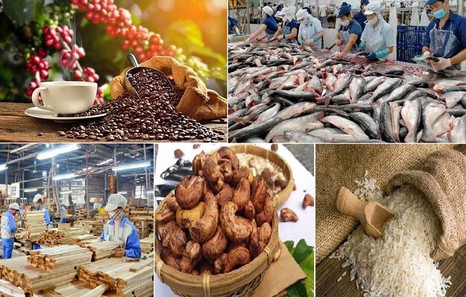 Agro-forestry-fisheries sector enjoys trade surplus of over US$8 bln