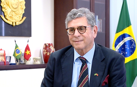 Viet Nam shows increasingly dynamic presence on international stage: Brazilian Ambassador