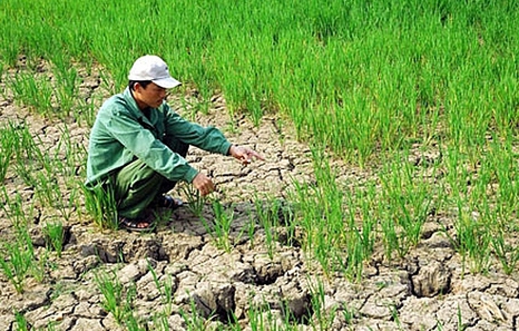 Climate change impact in rural Viet Nam - science must lead change