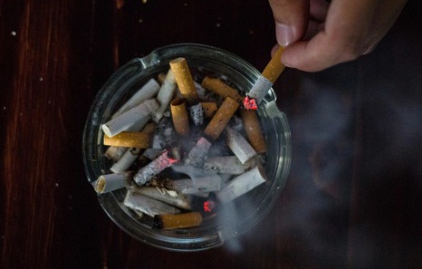 Viet Nam should seize historic opportunity to curb tobacco harm and to support economic growth, says WHO