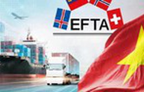 Viet Nam–EFTA Free Trade Agreement to expand opportunities for trade, investment, and innovation