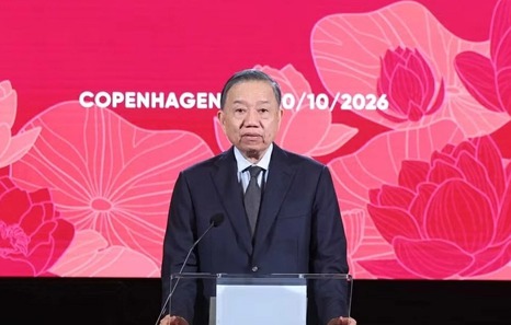 Concert celebrates 55 years of Viet Nam-Denmark diplomatic ties