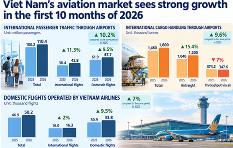 Viet Nam's aviation market serves over 110 million passengers in January-October as fleet grows