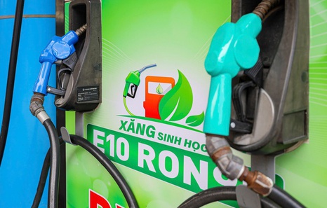 E10 biofuel may be rolled out from next June