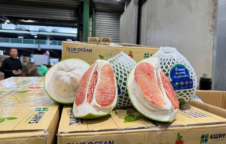 Viet Nam exports first shipment of fresh pomelos to Australia