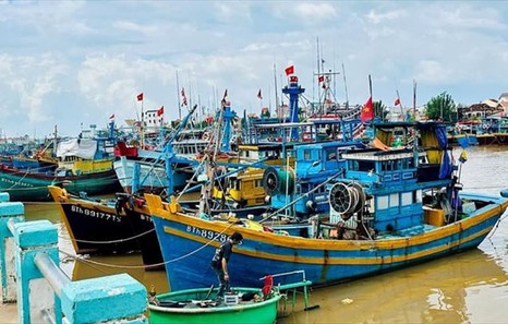 Shortcomings in IUU fishing combat must be fixed comprehensively
