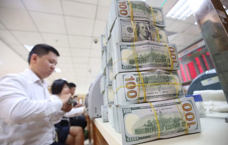 Viet Nam's foreign exchange reserves hit US$87.6 bln