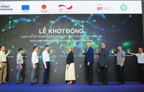 EU, Germany back Viet Nam's natural forest conservation