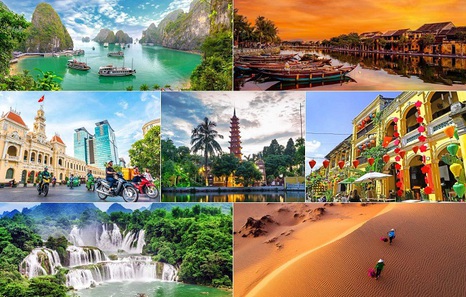 New Chairperson of State Steering Committee for Tourism named