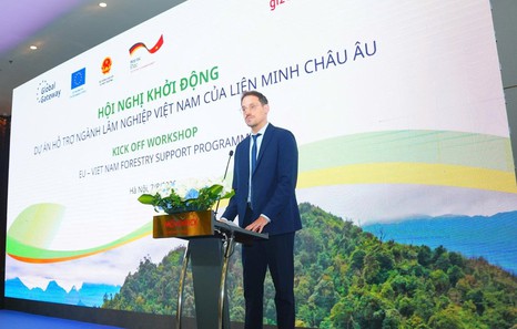 EU, Germany back Viet Nam's natural forest conservation