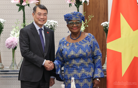 Prime Minister meets WTO Director-General on 18th BRICS sidelines