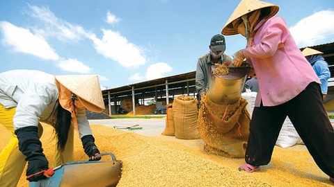 Số giờ làm thêm đối với DN có tính thời vụ