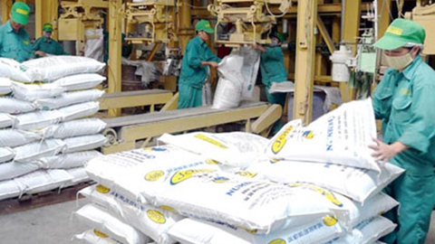 Thức ăn chăn nuôi nhập khẩu có phải kê khai, nộp thuế?