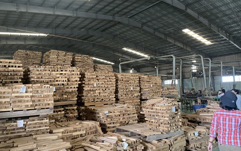Tăng cường tính minh bạch của gỗ và các sản phẩm gỗ Việt trong chuỗi cung ứng