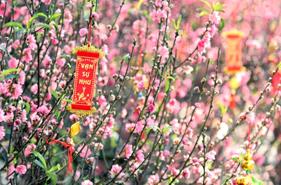 State President Luong Cuong extends 2026 Lunar New Year greetings