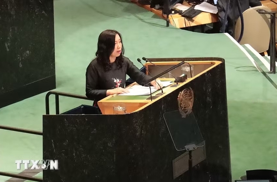 Viet Nam calls for strict, balanced implementation of three pillars of Treaty on Non-Proliferation of Nuclear Weapons