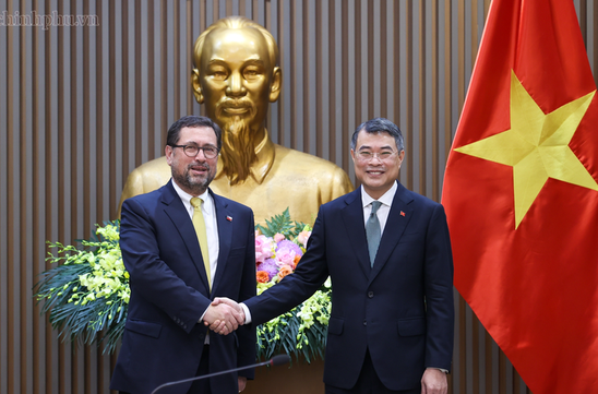 Viet Nam treasures Comprehensive Partnership with Chile: Prime Minister