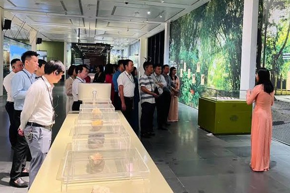 Khơi thông nguồn lực, phát huy năng lực lĩnh vực bảo tồn, bảo tàng