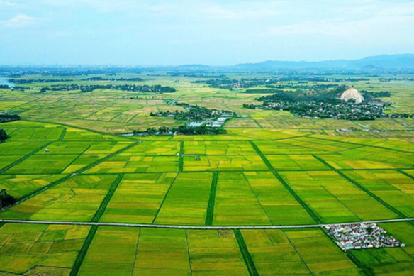 Sửa đổi, bổ sung quy định về phân cấp, phân quyền, phân định thẩm quyền trong lĩnh vực đất đai