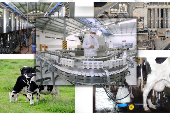 Phát triển bền vững và xanh hóa ngành công nghiệp chế biến sữa