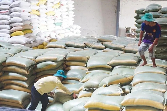 Ban hành Kế hoạch triển khai thi hành Luật Dự trữ quốc gia