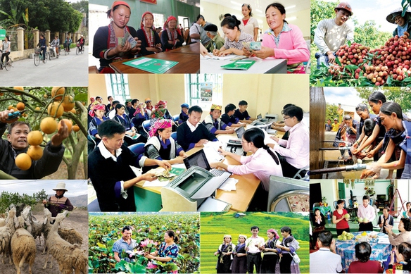 Giải thể BCĐ Trung ương thực hiện Nghị quyết số 70/NQ-CP về chính sách xã hội