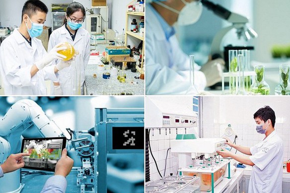 Chỉ đạo, điều hành của Chính phủ, Thủ tướng Chính phủ nổi bật tuần 25-31/7/2026