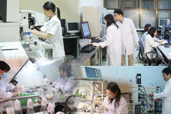 Chỉ đạo, điều hành của Chính phủ, Thủ tướng Chính phủ nổi bật tuần 8-14/8/2026