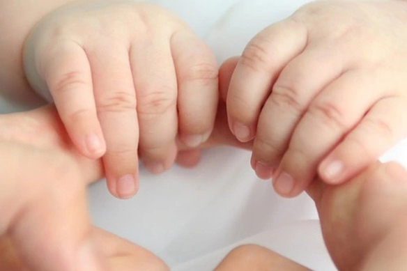 Hoàn thiện dự án Luật Nuôi con nuôi (sửa đổi)