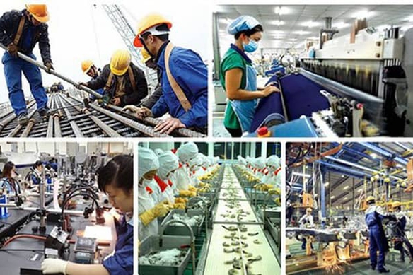 Triển khai thực hiện Kết luận số 62-KL/TW về nâng cao năng suất lao động quốc gia gắn với phát triển thị trường lao động