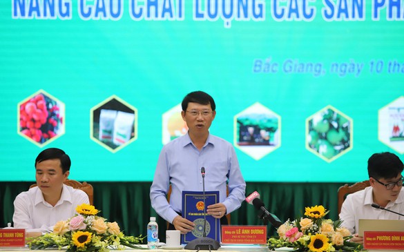 Nâng cao chất lượng sản phẩm OCOP tỉnh Bắc Giang năm 2022