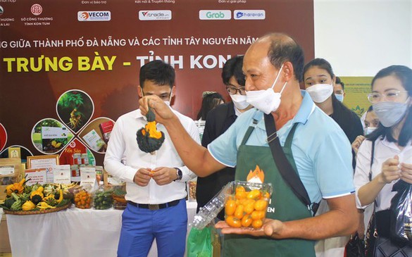 ‘Kích hoạt’ chuyển đổi số trong hợp tác xã