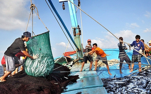 Thủ tướng yêu cầu tập trung thực hiện tháng cao điểm chống khai thác hải sản bất hợp pháp