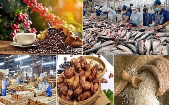 Đề xuất sửa quy định thuế GTGT lĩnh vực nông nghiệp, thức ăn chăn nuôi