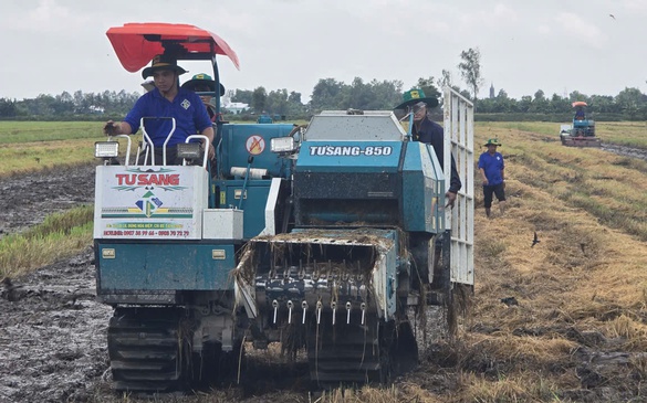 'Biến rơm rạ thành vàng': Nông dân Cần Thơ tiên phong ứng dụng công nghệ xử lý rơm bền vững