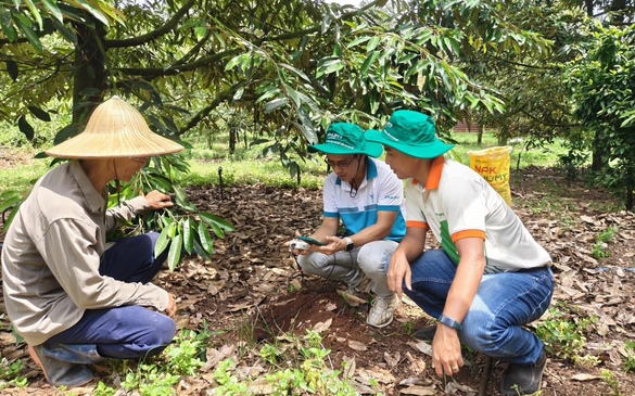 Phú Mỹ hợp tác cùng Enfarm: Bước tiến lớn trong chuyển đổi số nông nghiệp Việt Nam
