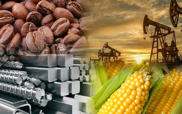 THỊ TRƯỜNG HÀNG HÓA: Ca cao rớt giá, ngô phục hồi nhẹ