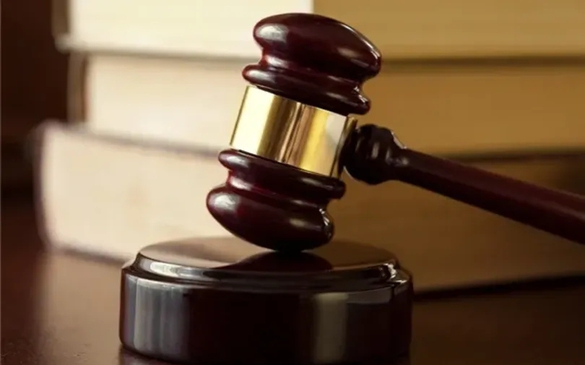 Chỉ đạo, điều hành của Chính phủ, Thủ tướng Chính phủ ngày 13/11/2025