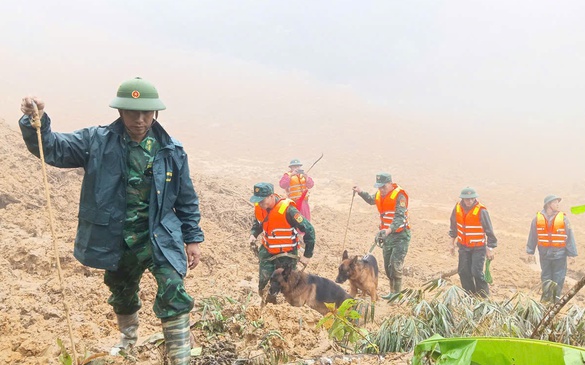 Tăng cường 'cảnh khuyển' tìm kiếm nạn nhân trong vụ sạt lở núi ở Đà Nẵng