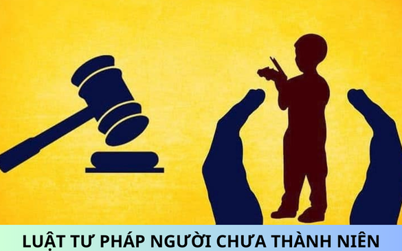 Nhiệm vụ, quyền hạn của Hội đồng quốc gia về tư pháp người chưa thành niên