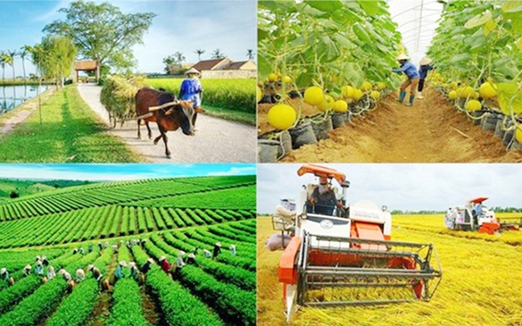 Kiện toàn thành viên BCĐ Trung ương các chương trình mục tiêu quốc gia 2021 - 2025