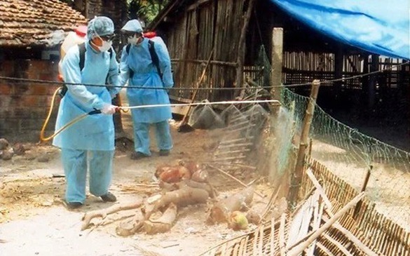 Siết chặt biện pháp phòng dịch, không để mầm bệnh lây lan, bùng phát