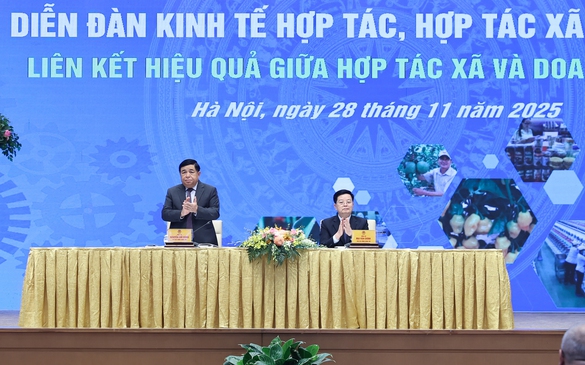 Liên kết hiệu quả giữa hợp tác xã và doanh nghiệp