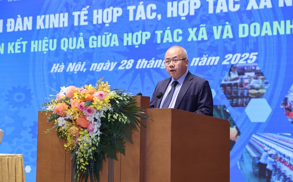 Liên kết hợp tác xã-doanh nghiệp: Lợi ích đa chiều