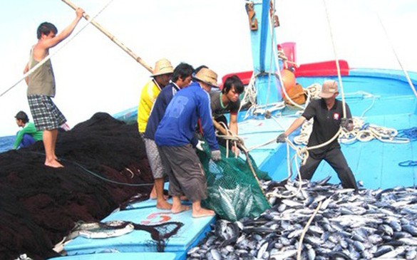 Ngưng hiệu lực thi hành quy định kích thước tối thiểu được phép khai thác một số loài thủy sản