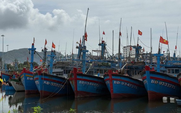 Gia Lai lập Sở chỉ tuy tiền phương ứng phó bão số 13