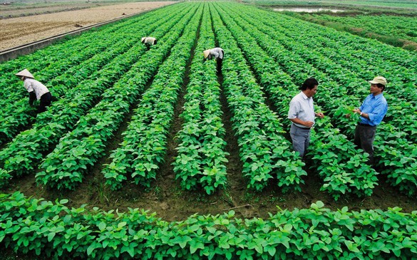 Sửa một số quy định về tiền sử dụng đất