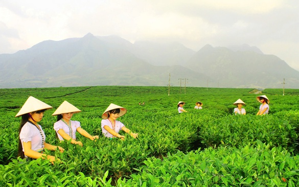 Sắp diễn ra Ngày hội sản phẩm vùng đồng bào dân tộc thiểu số và miền núi phía bắc
